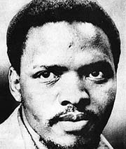 stevebiko.jpg