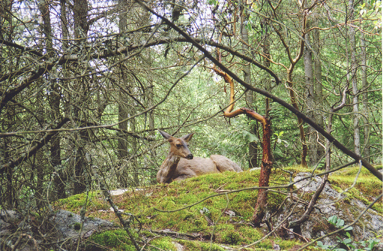Eagleridge Bluffs